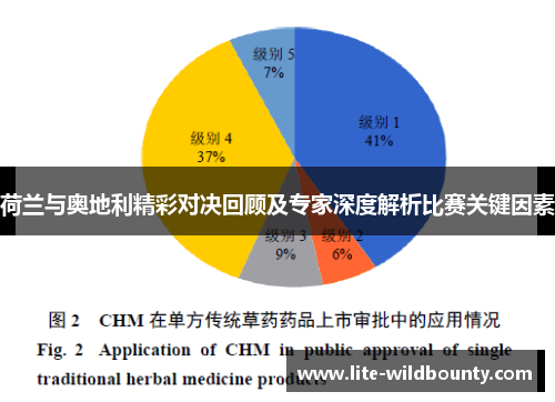 荷兰与奥地利精彩对决回顾及专家深度解析比赛关键因素