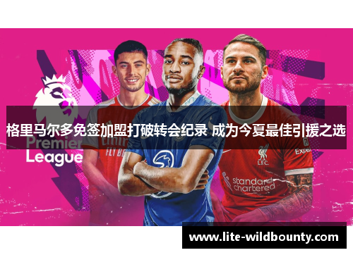 格里马尔多免签加盟打破转会纪录 成为今夏最佳引援之选 格里马尔多免签加盟打破转会纪录 成为今夏最佳引援之选