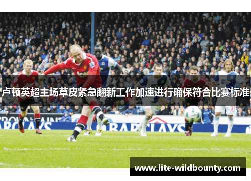 卢顿英超主场草皮紧急翻新工作加速进行确保符合比赛标准