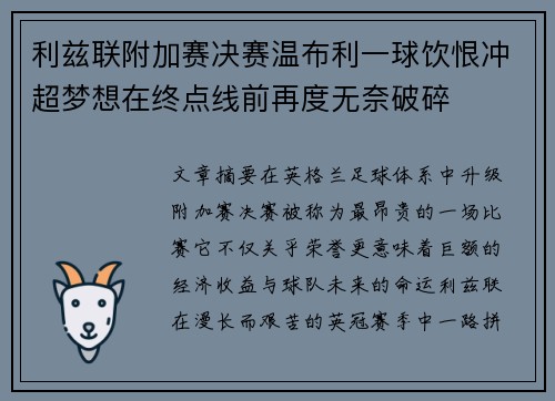 利兹联附加赛决赛温布利一球饮恨冲超梦想在终点线前再度无奈破碎